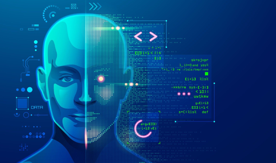 IT & Software Development